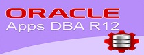 Oracle Apps DBA R12   Training in Noida