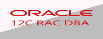 Oracle RAC (Real Application Cluster) Training in Noida 