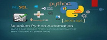 Python training in NOIDA.