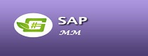 SAP MM  Training  in Noida 