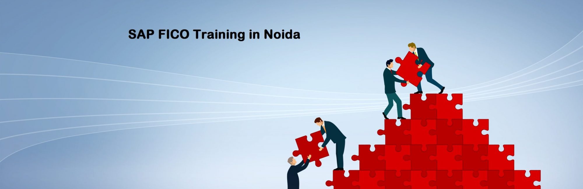SAP FICO  Training  in Noida 
